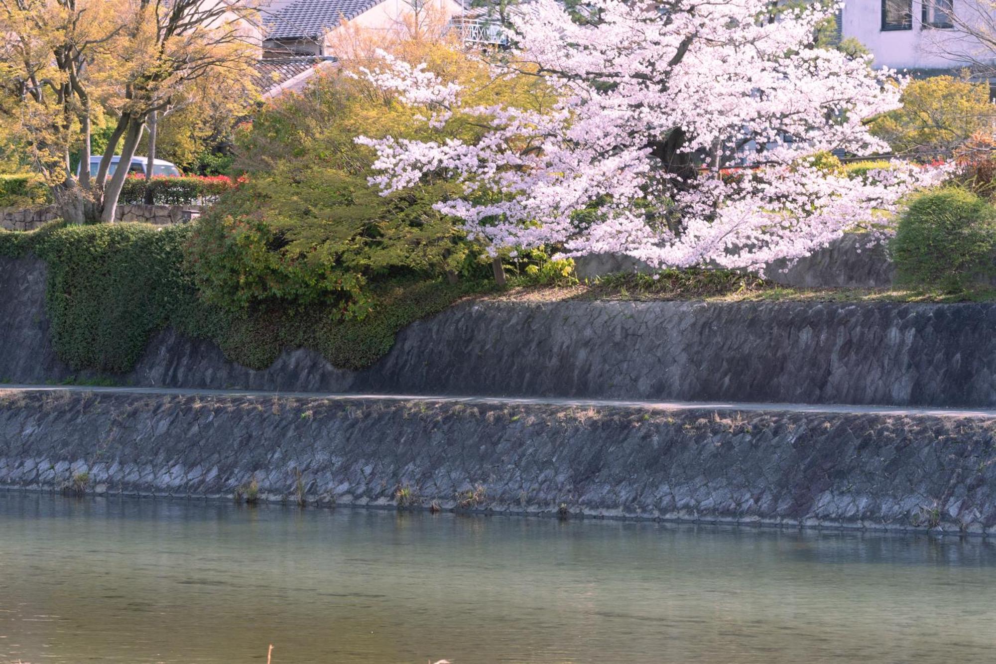 Omo5 Kyoto Sanjo By Hoshino Resorts エクステリア 写真